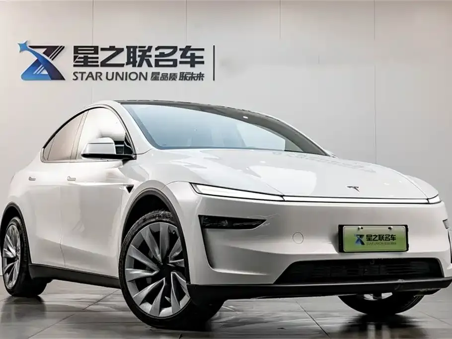 Tesla Model Y 2025 из CN, фото 3
