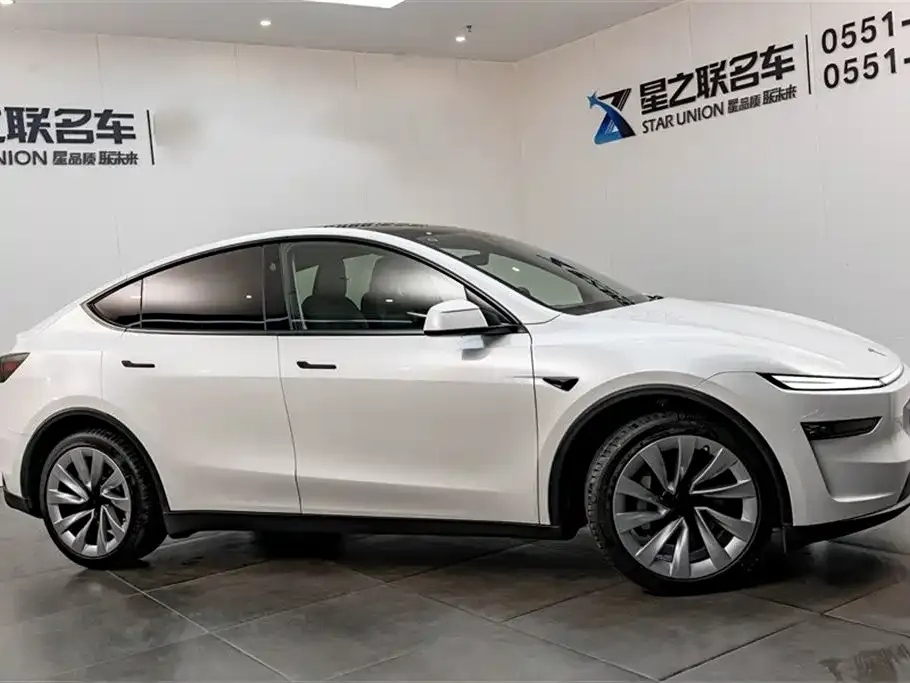 Tesla Model Y 2025 из CN, фото 4
