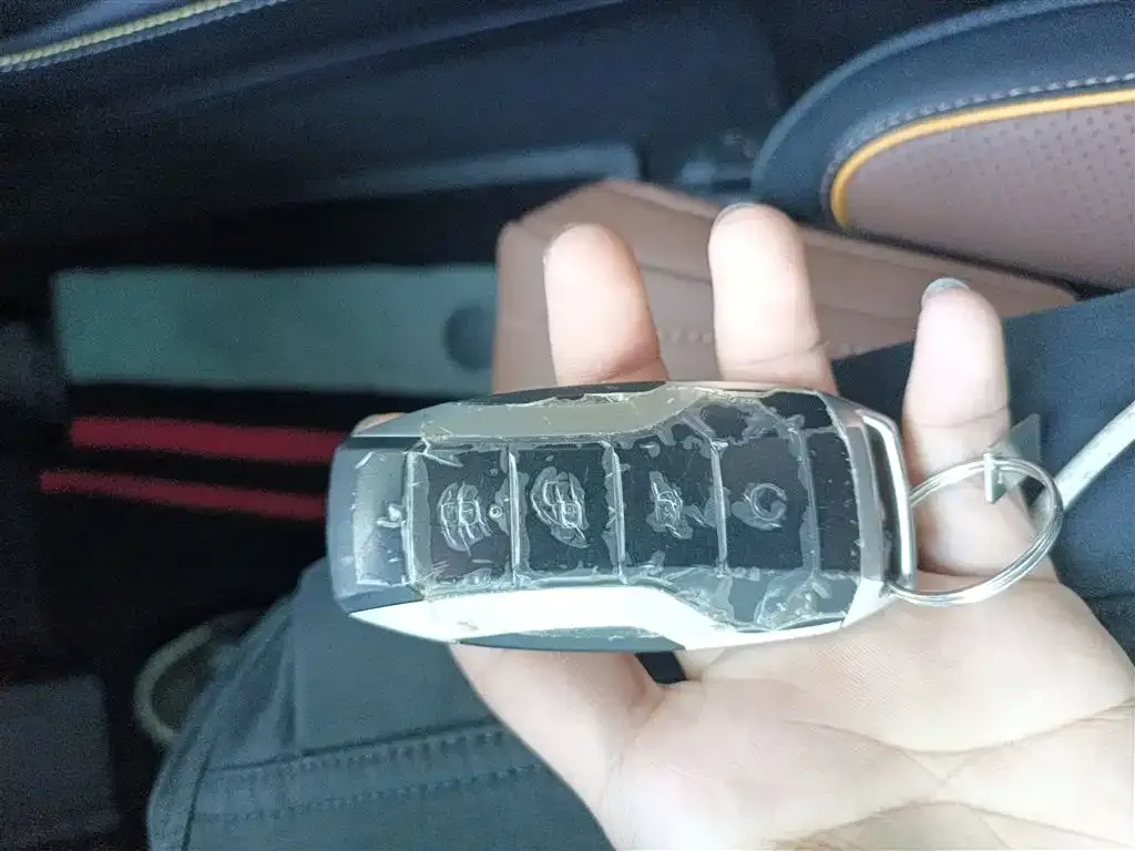 BYD Tang New Energy 2022 из CN, фото 2