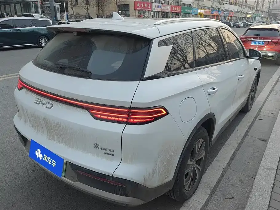 BYD Pro New Energy 2025 из CN, фото 6
