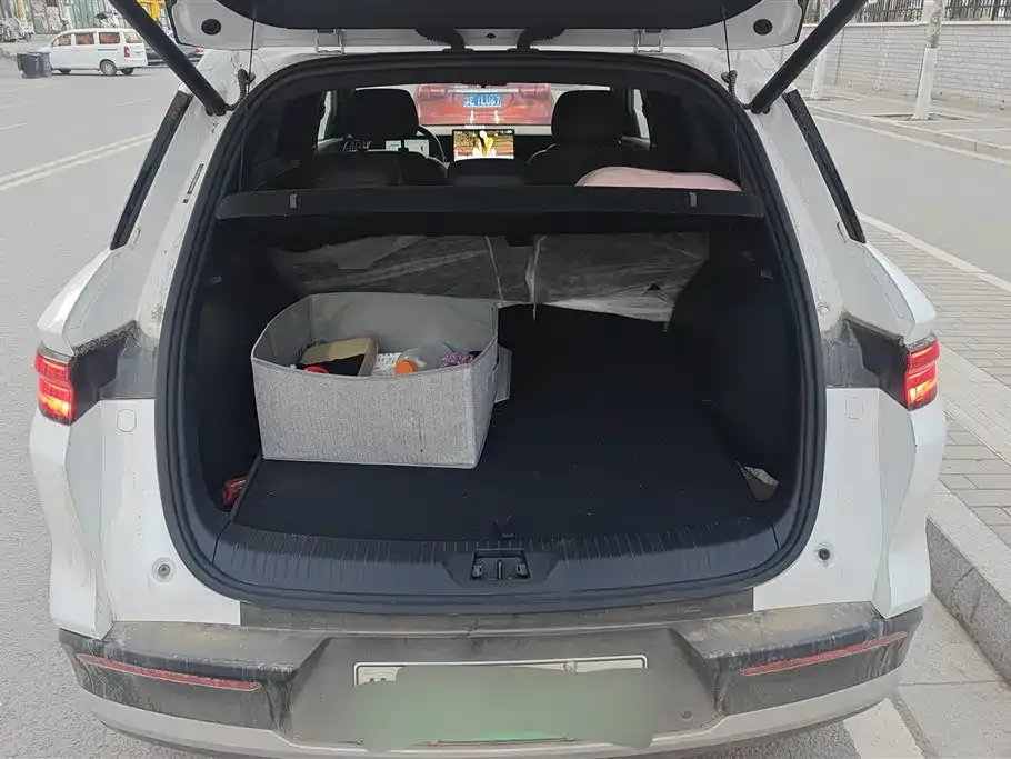 BYD Pro New Energy 2025 из CN, фото 4