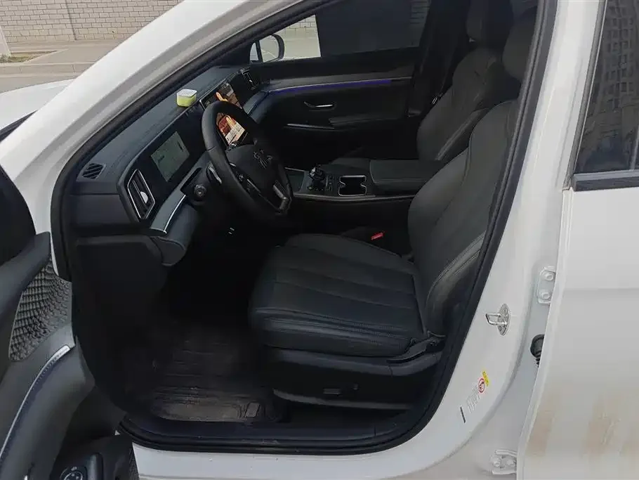 BYD Pro New Energy 2025 из CN, фото 10