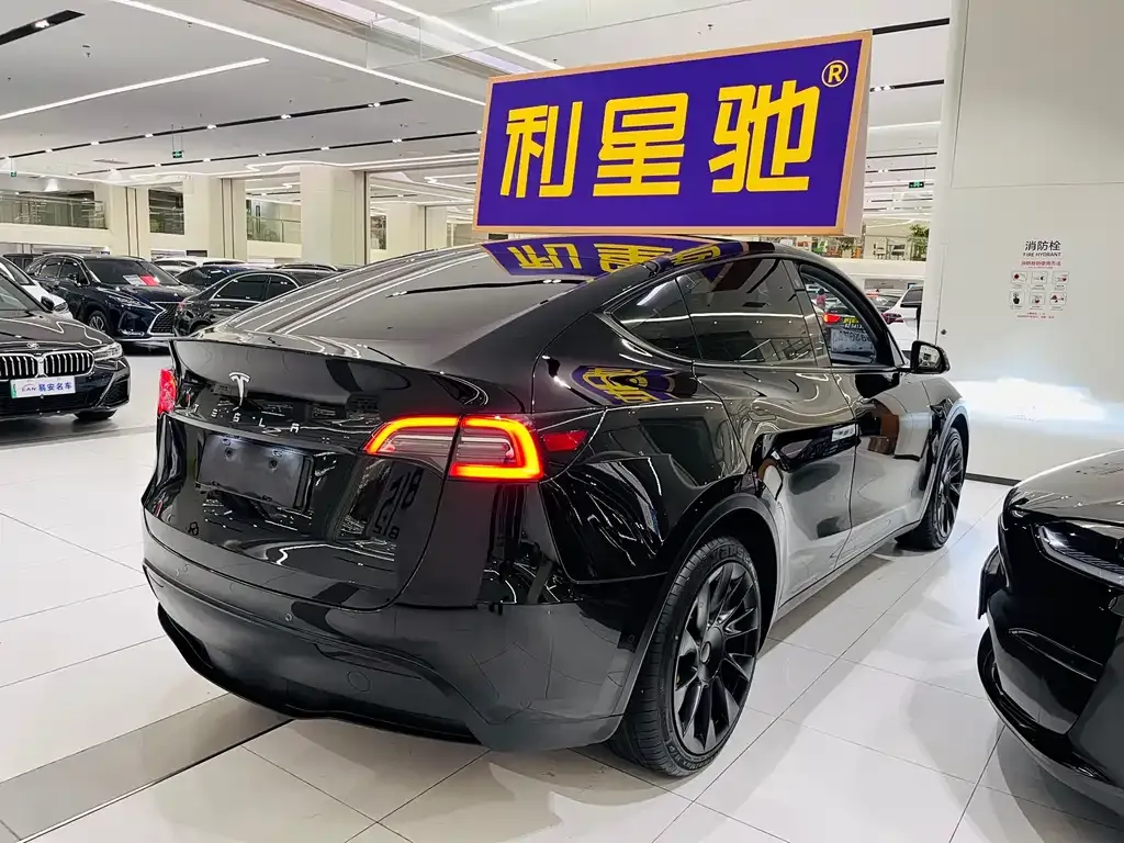 Tesla Model Y — фото 3