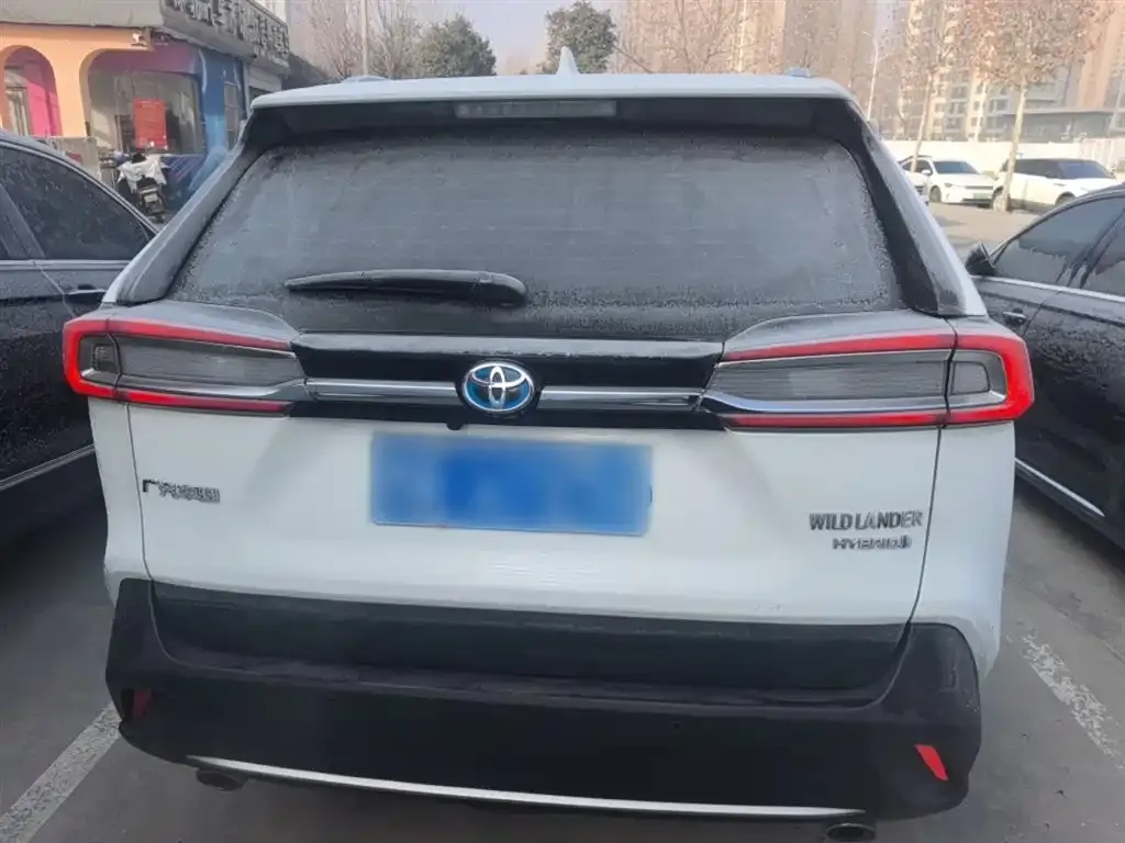 Toyota Wildlander 2023 из CN, фото 3