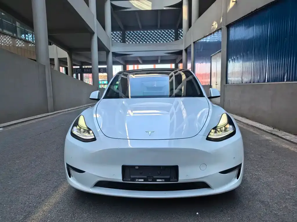 Tesla Model Y 2023 из CN, фото 3