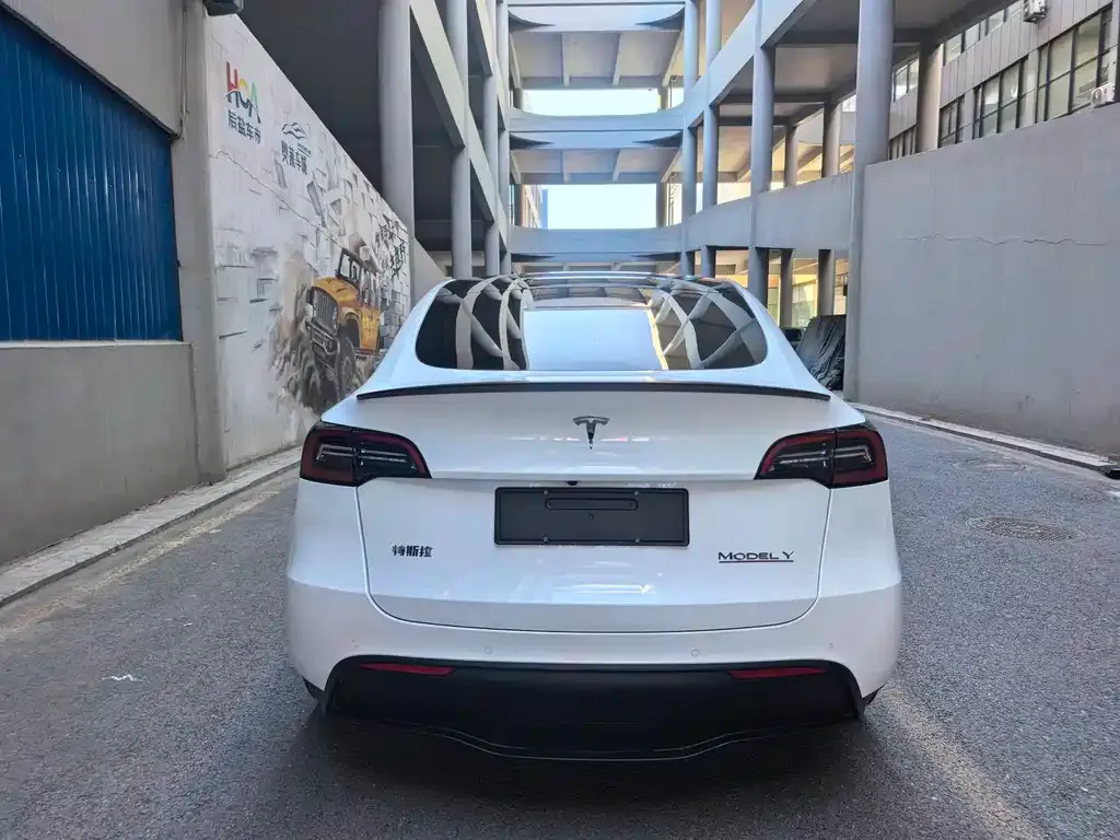 Tesla Model Y 2023 из CN, фото 5