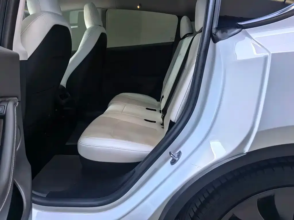 Tesla Model Y 2023 из CN, фото 6