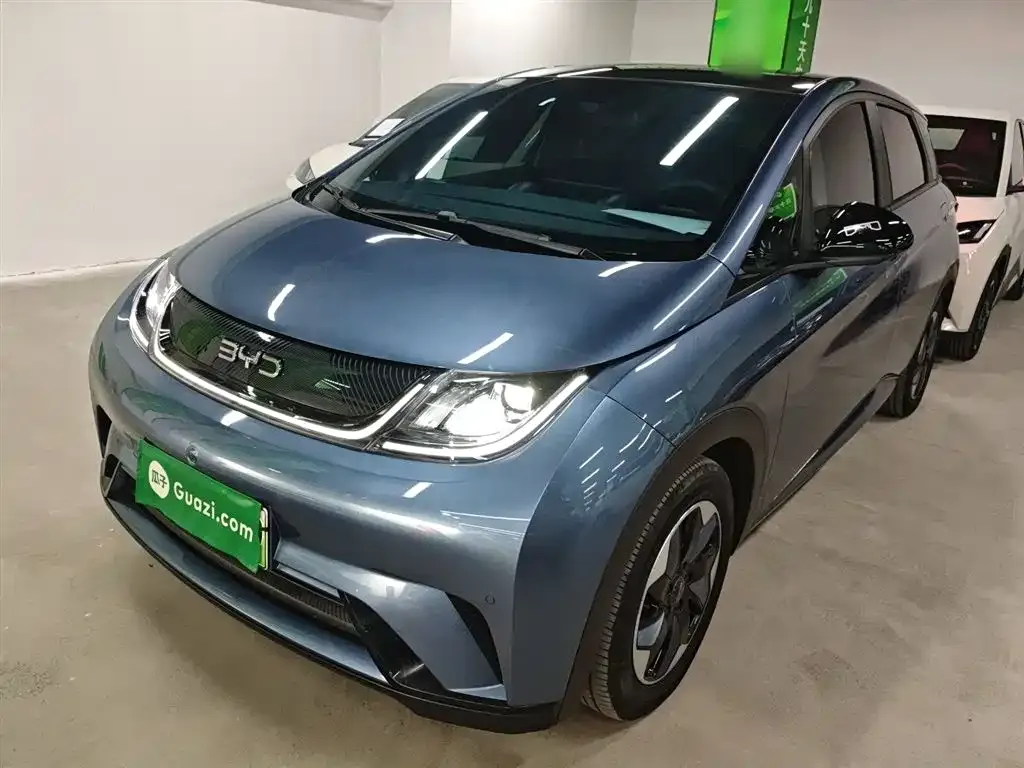 BYD Dolphin 2024 из CN, фото 2