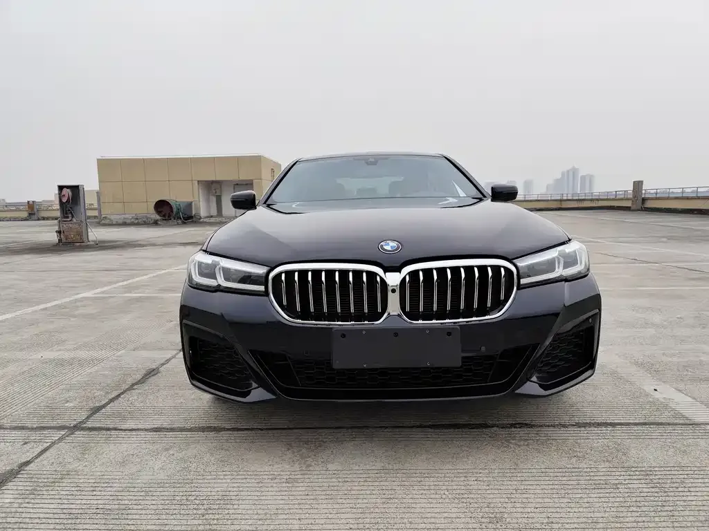 BMW 5 Series New Energy — фото 6