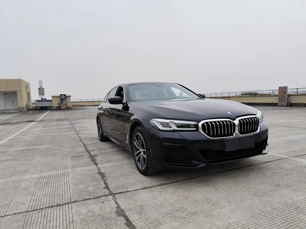 BMW 5 Series New Energy — фото 8