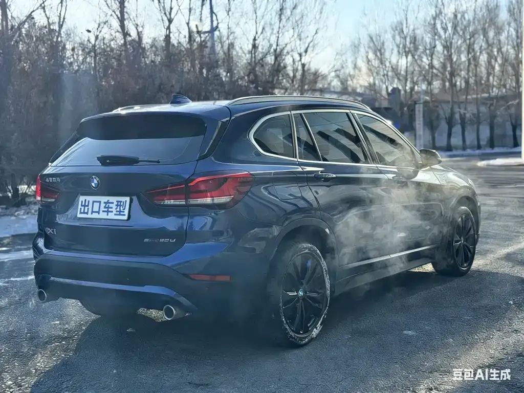BMW X1 2021 из CN, фото 4