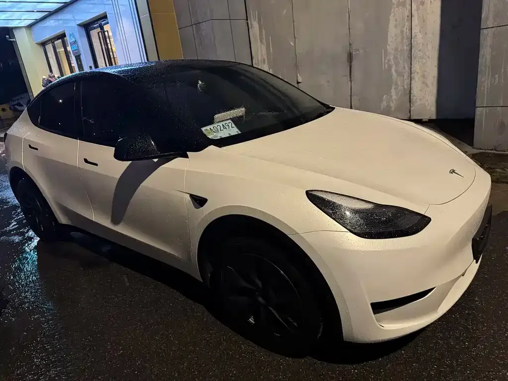 Tesla Model Y — фото 2