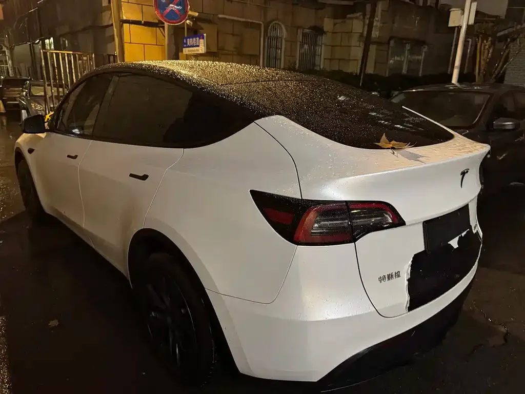 Tesla Model Y — фото 3