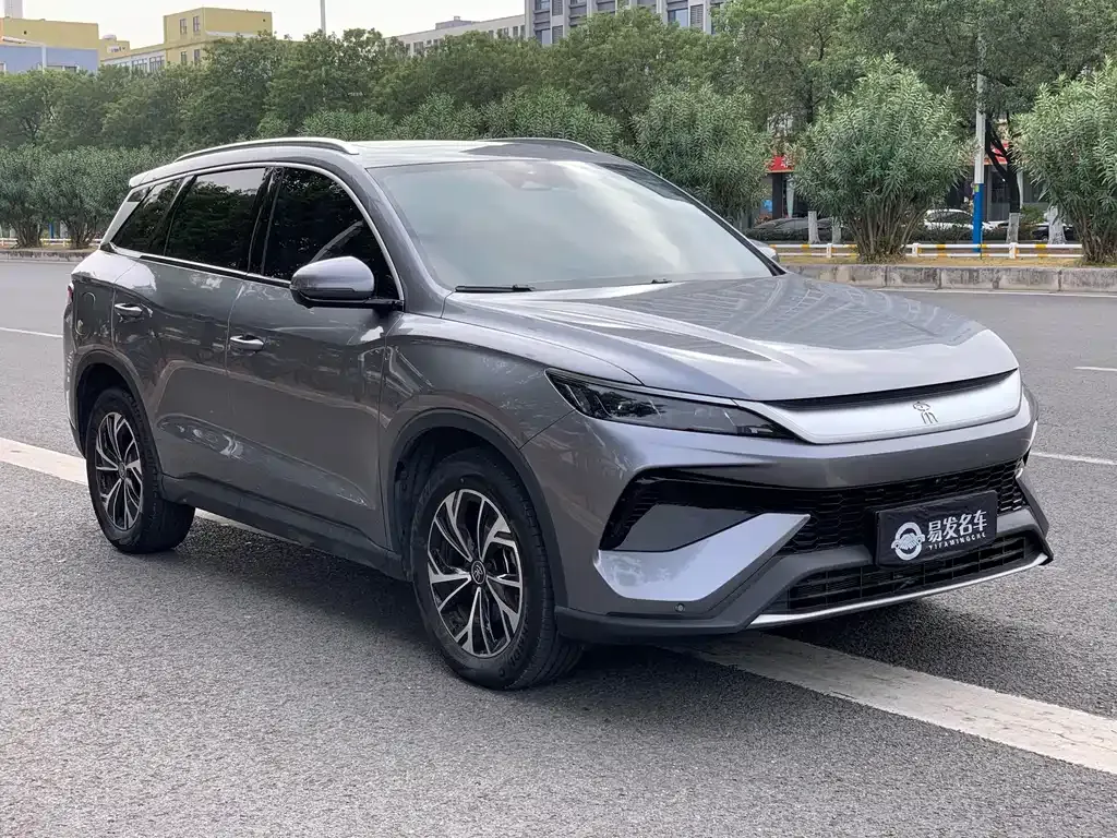 BYD Pro New Energy — фото 10