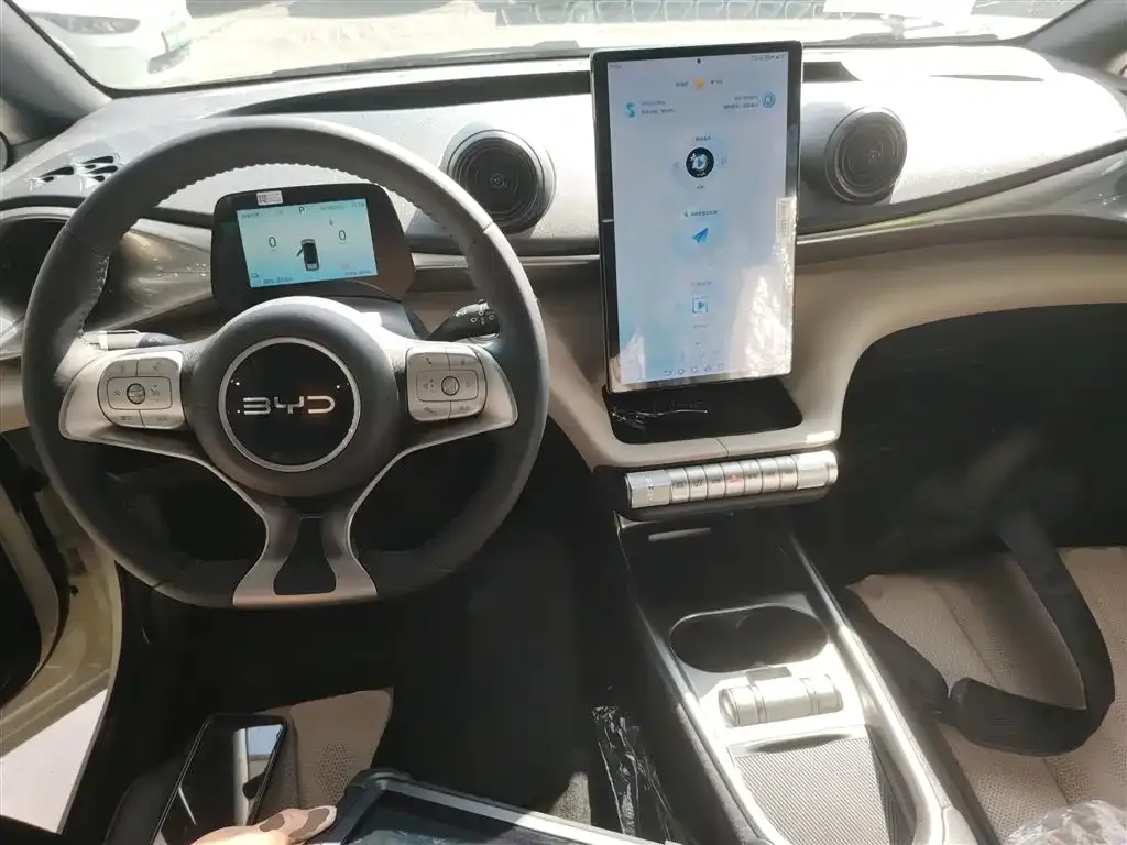 [object Object] Dolphin 2025 из CN, фото 10