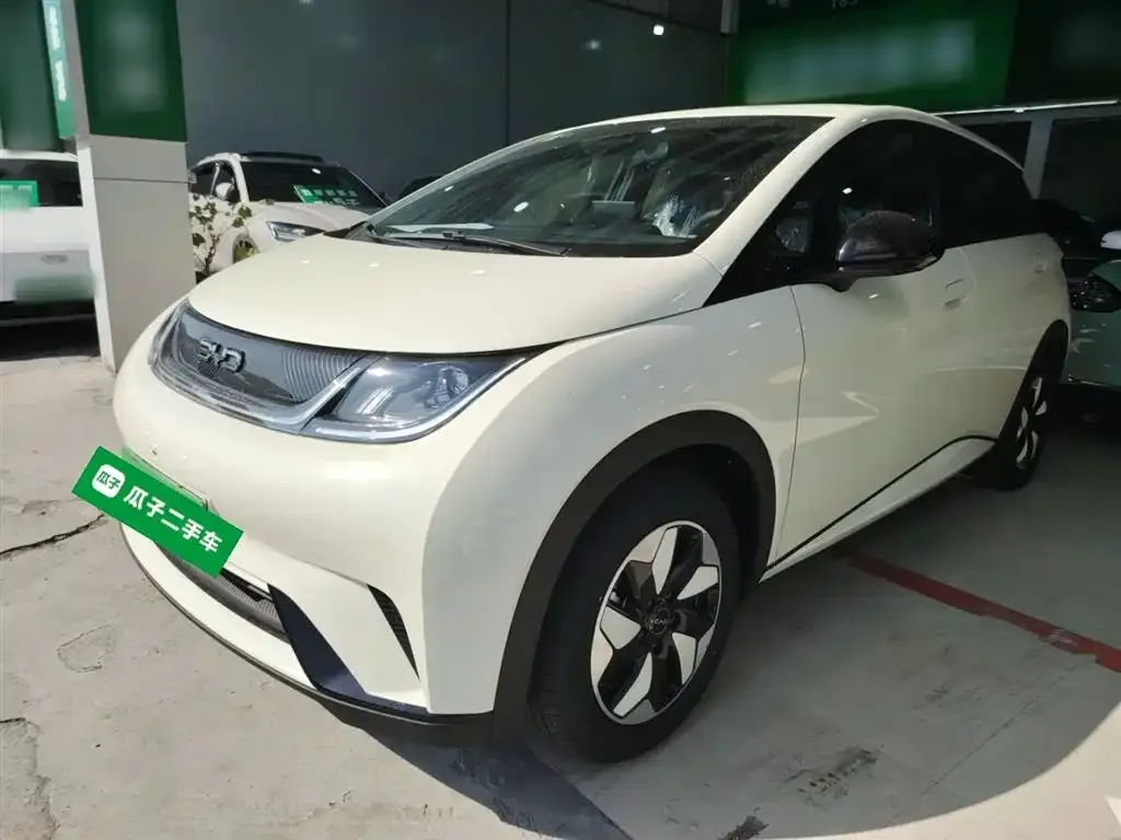 [object Object] Dolphin 2025 из CN, фото 2