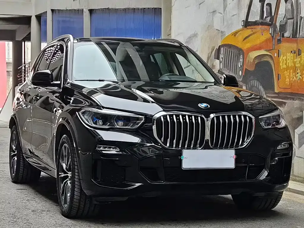 BMW X5 (Import) — фото 9