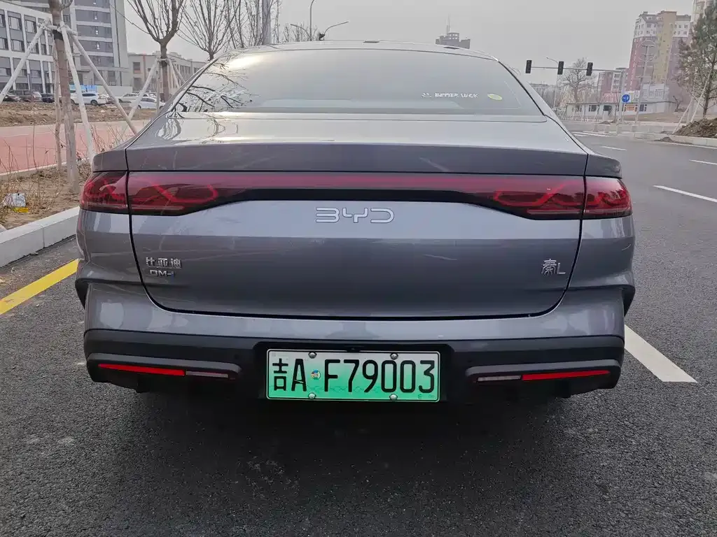 BYD Qin L 2024 из CN, фото 9