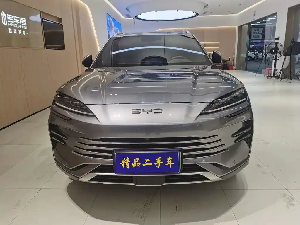 BYD PLUS New Energy — фото 7