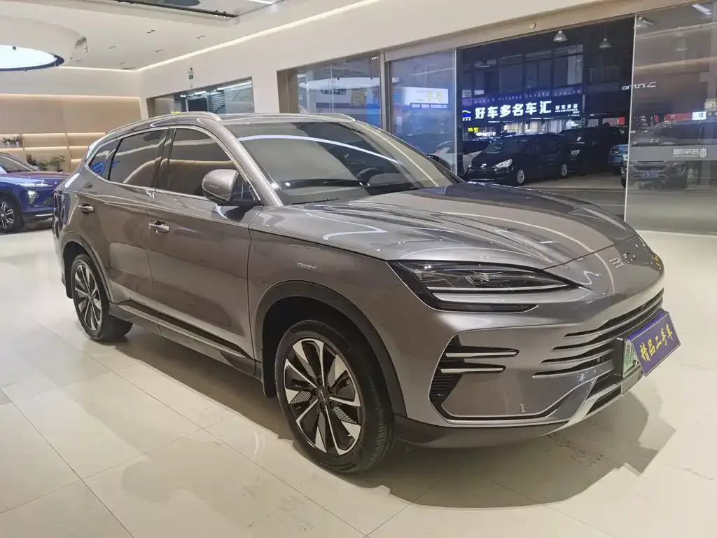 BYD PLUS New Energy — фото 8