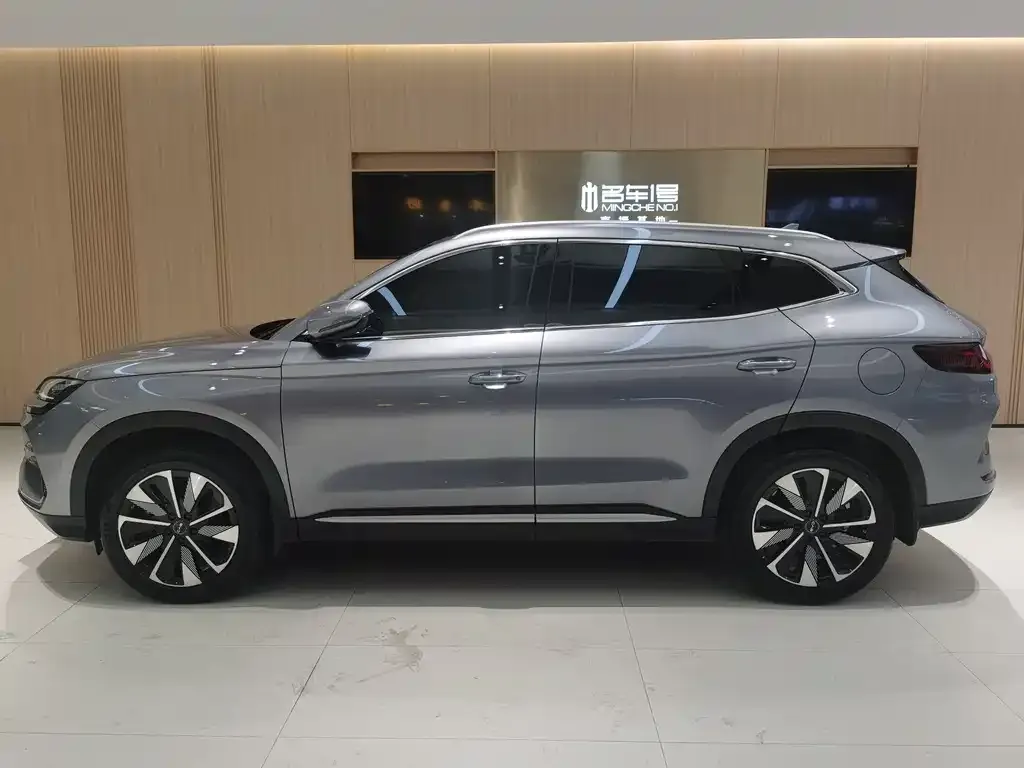 BYD PLUS New Energy — фото 5