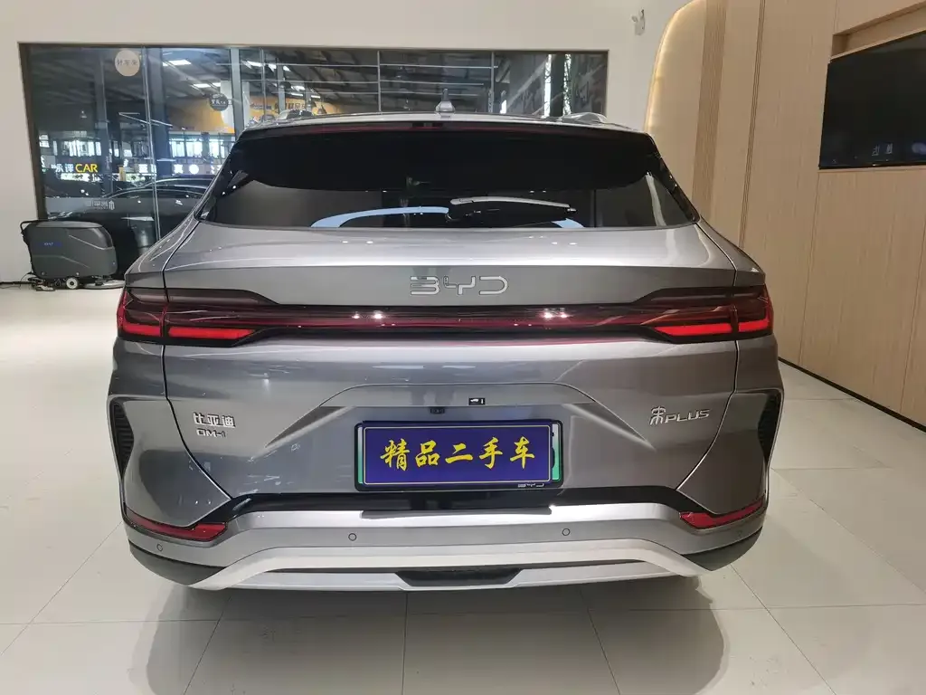 BYD PLUS New Energy — фото 2