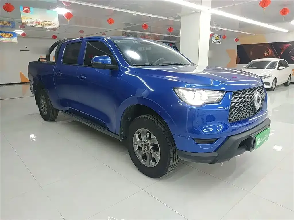 Great Wall Pao 2021 из CN, фото 10