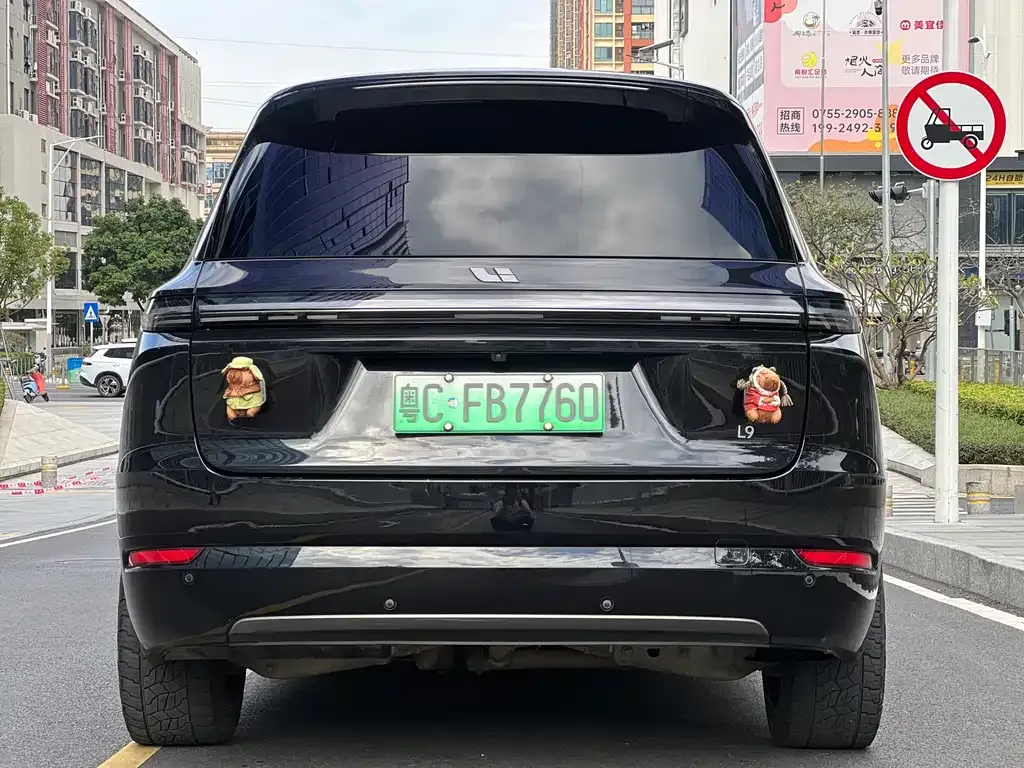 Li Auto L9 2023 из CN, фото 5