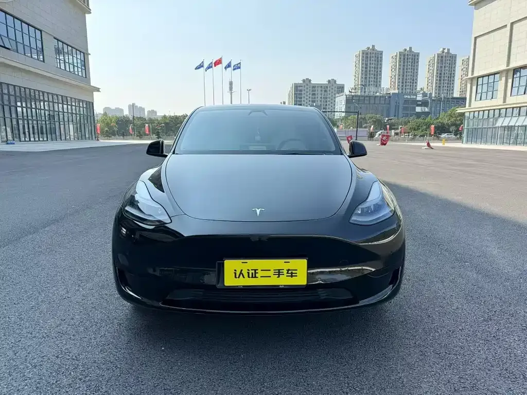 Tesla Model Y — фото 2