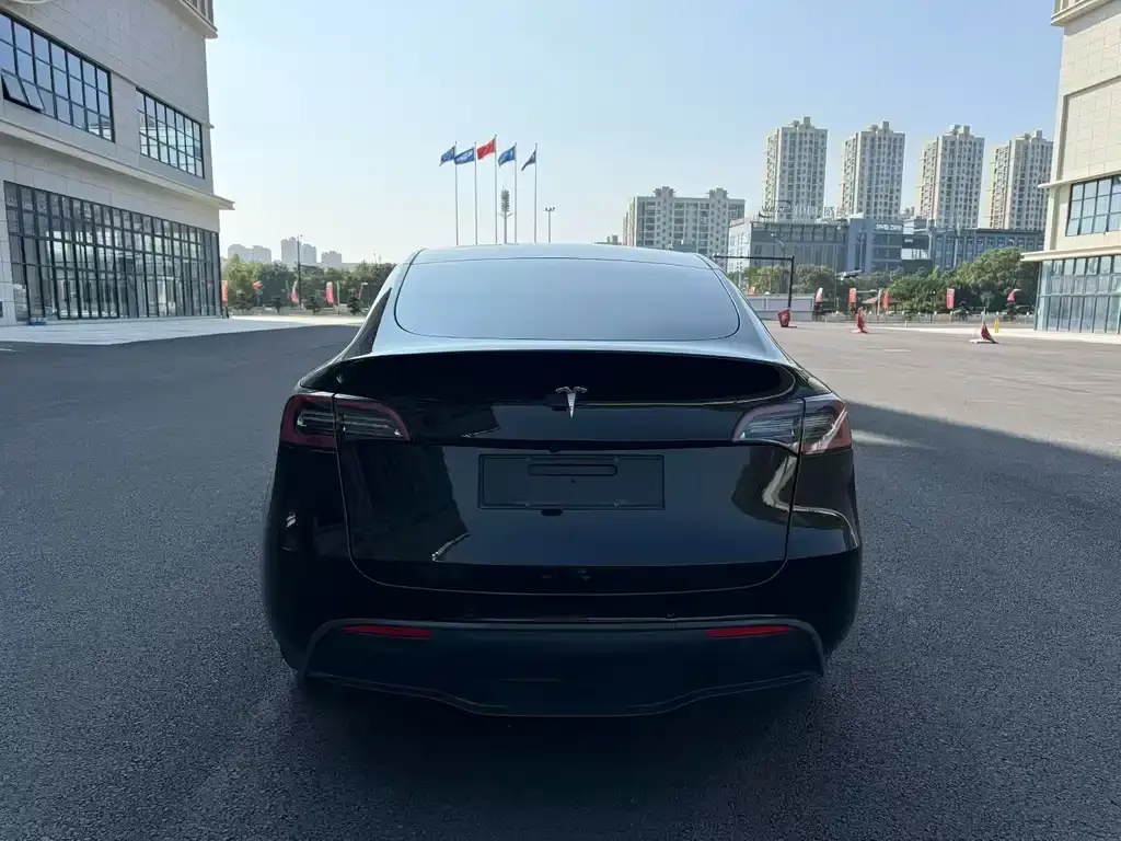 Tesla Model Y — фото 8