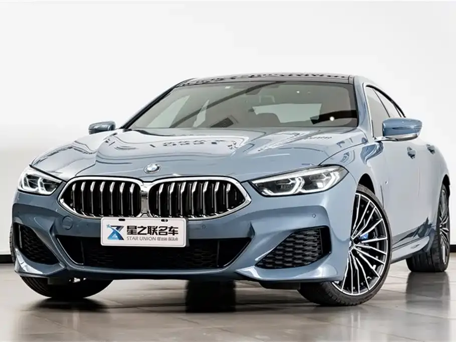 BMW 8 Series — фото 10