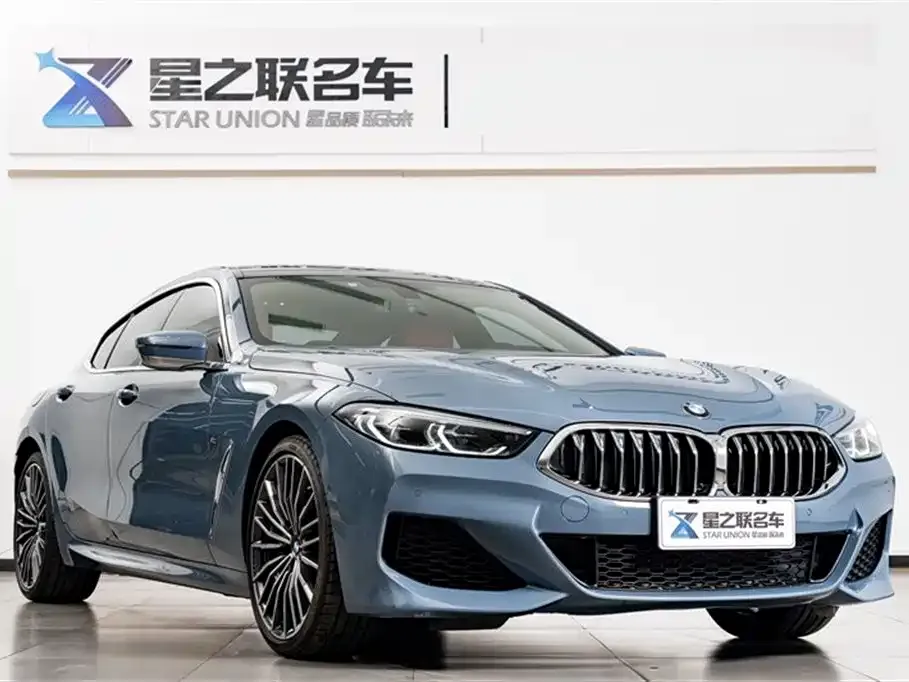 BMW 8 Series — фото 9