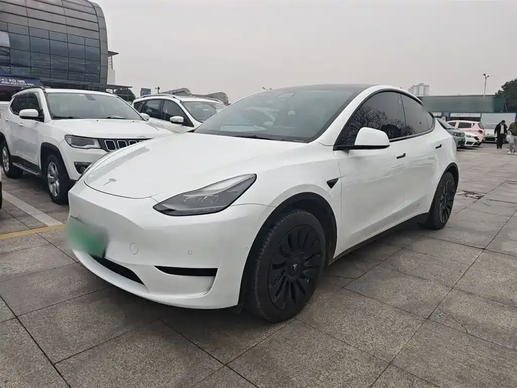 Tesla Model Y — фото 1