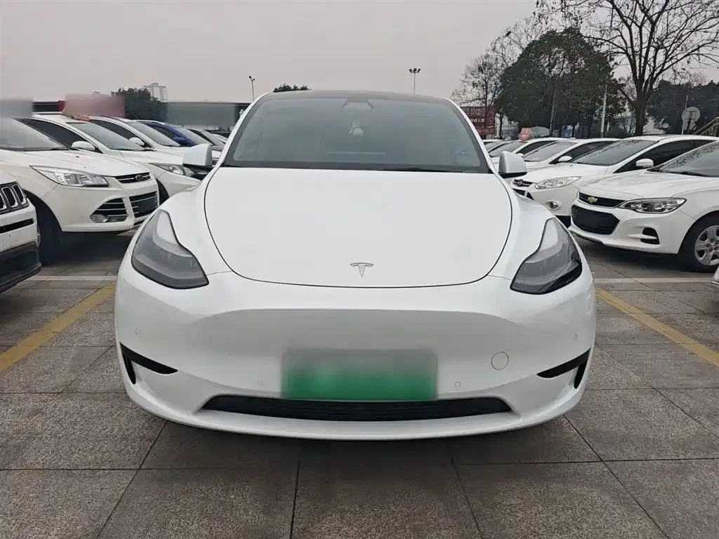 Tesla Model Y — фото 7