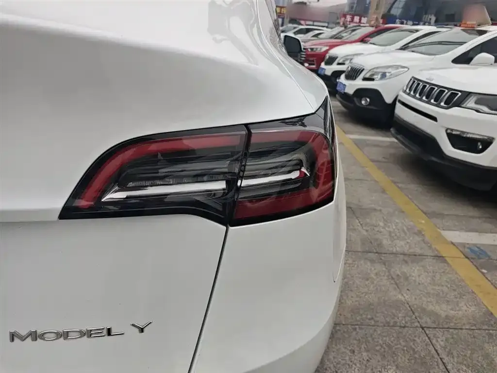 Tesla Model Y — фото 3