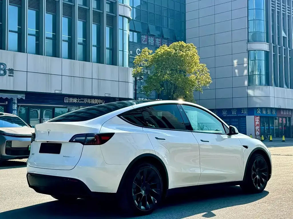 Tesla Model Y — фото 5