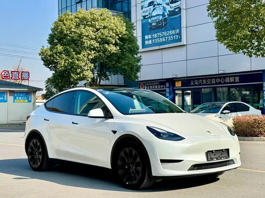 Tesla Model Y — фото 7