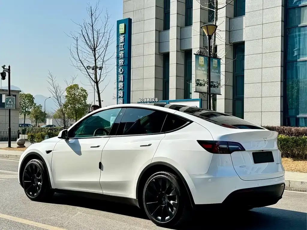 Tesla Model Y — фото 9