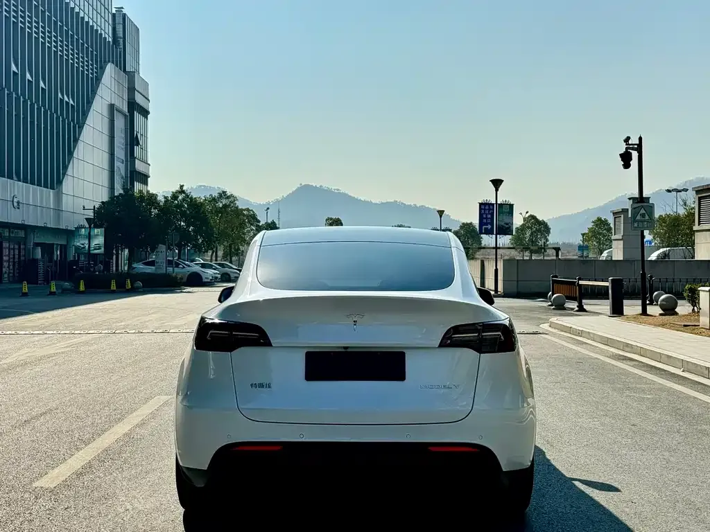 Tesla Model Y — фото 6