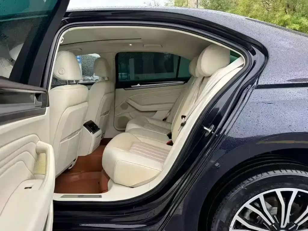 Volkswagen Phideon 2021 из CN, фото 6