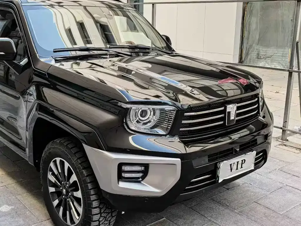 Tank 700 New Energy 2024 из CN, фото 8