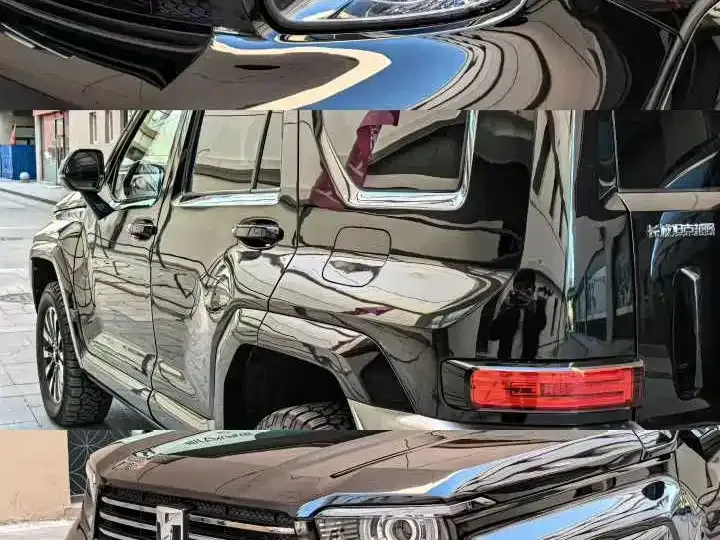 Tank 700 New Energy 2024 из CN, фото 6