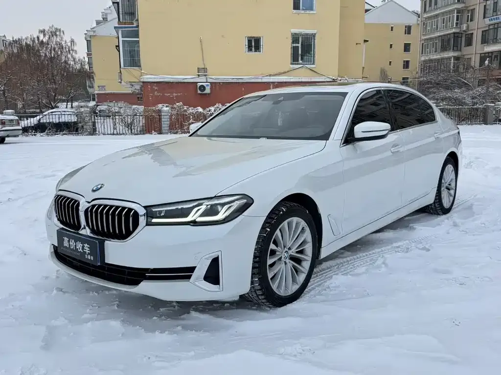 BMW 5 Series 2022 из CN, фото 1