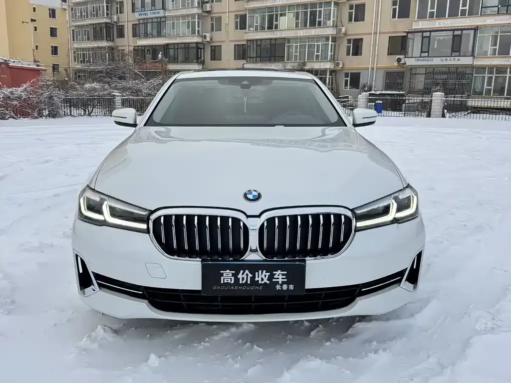 BMW 5 Series 2022 из CN, фото 6