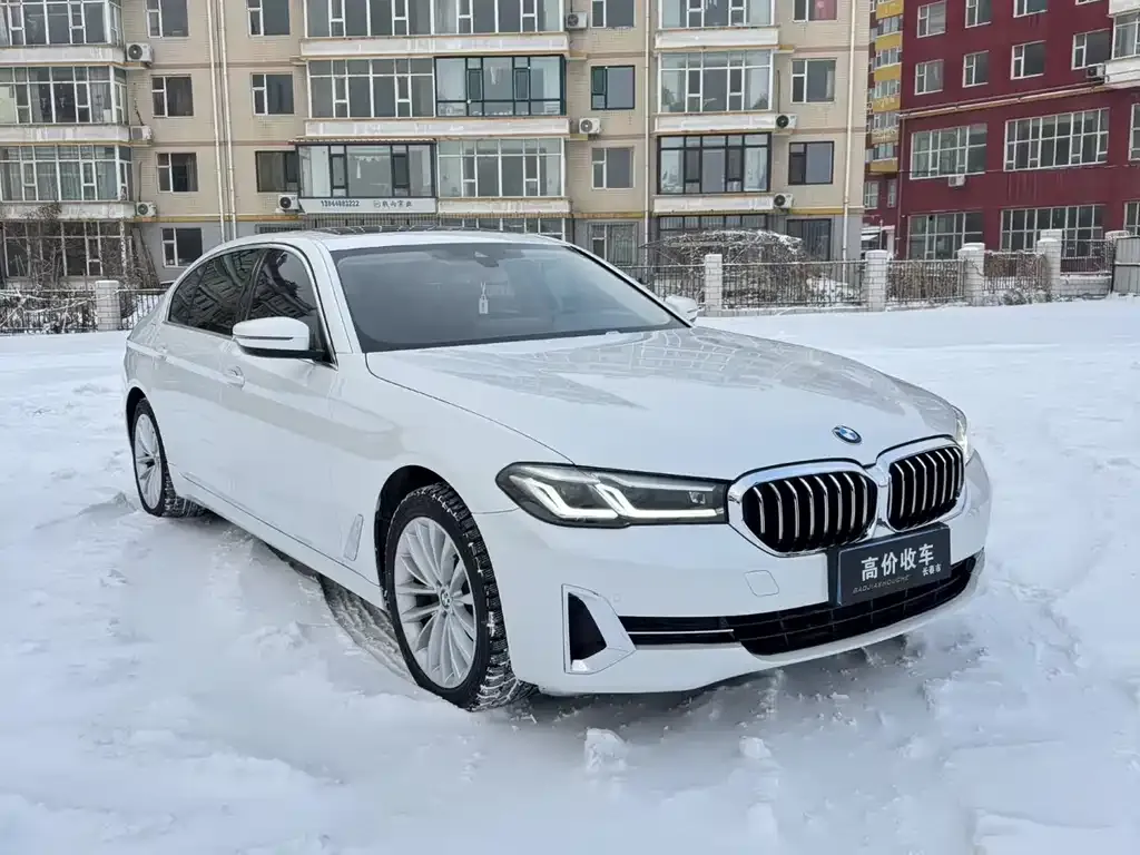 BMW 5 Series 2022 из CN, фото 3