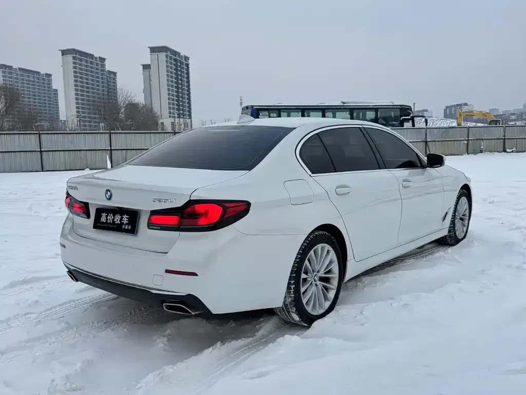 BMW 5 Series 2022 из CN, фото 2