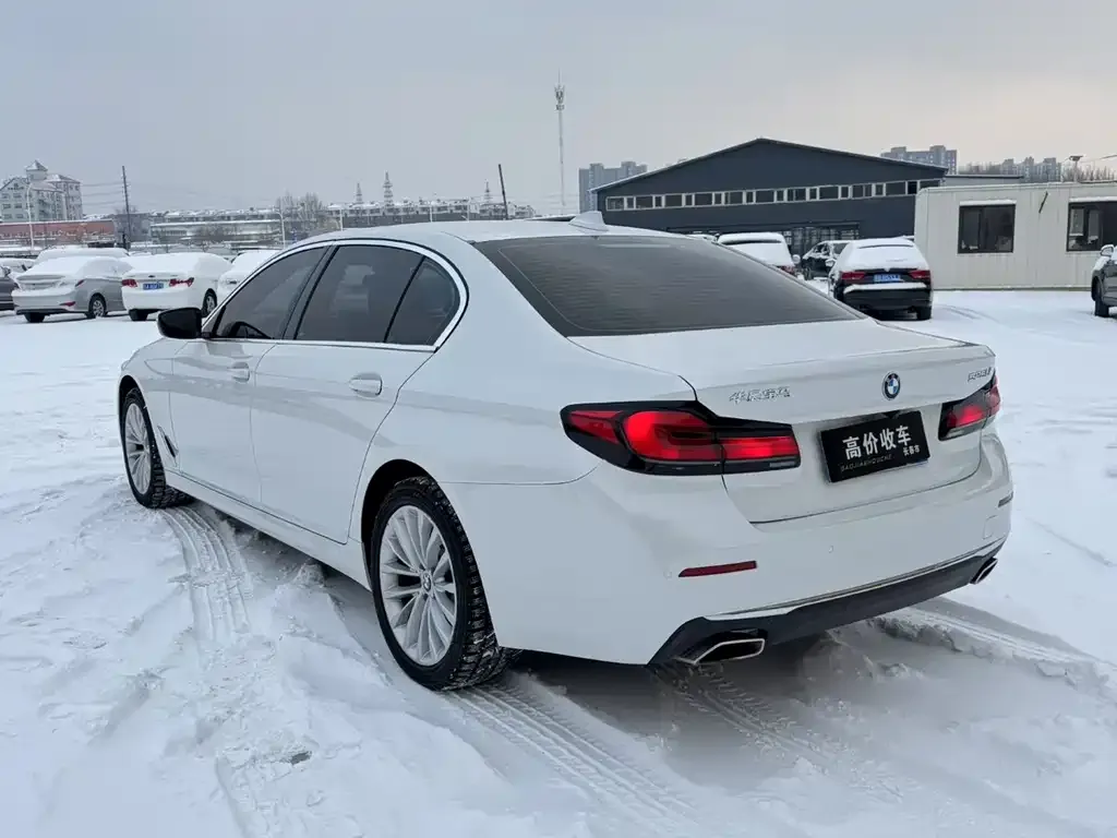 BMW 5 Series 2022 из CN, фото 5