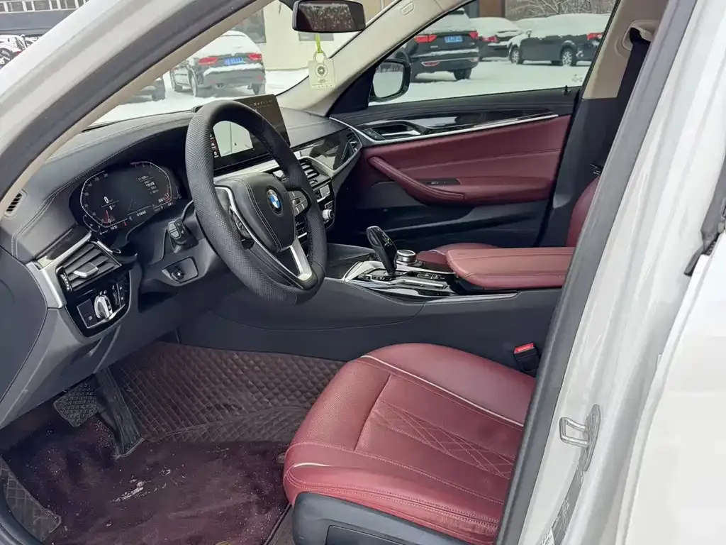 BMW 5 Series 2022 из CN, фото 4