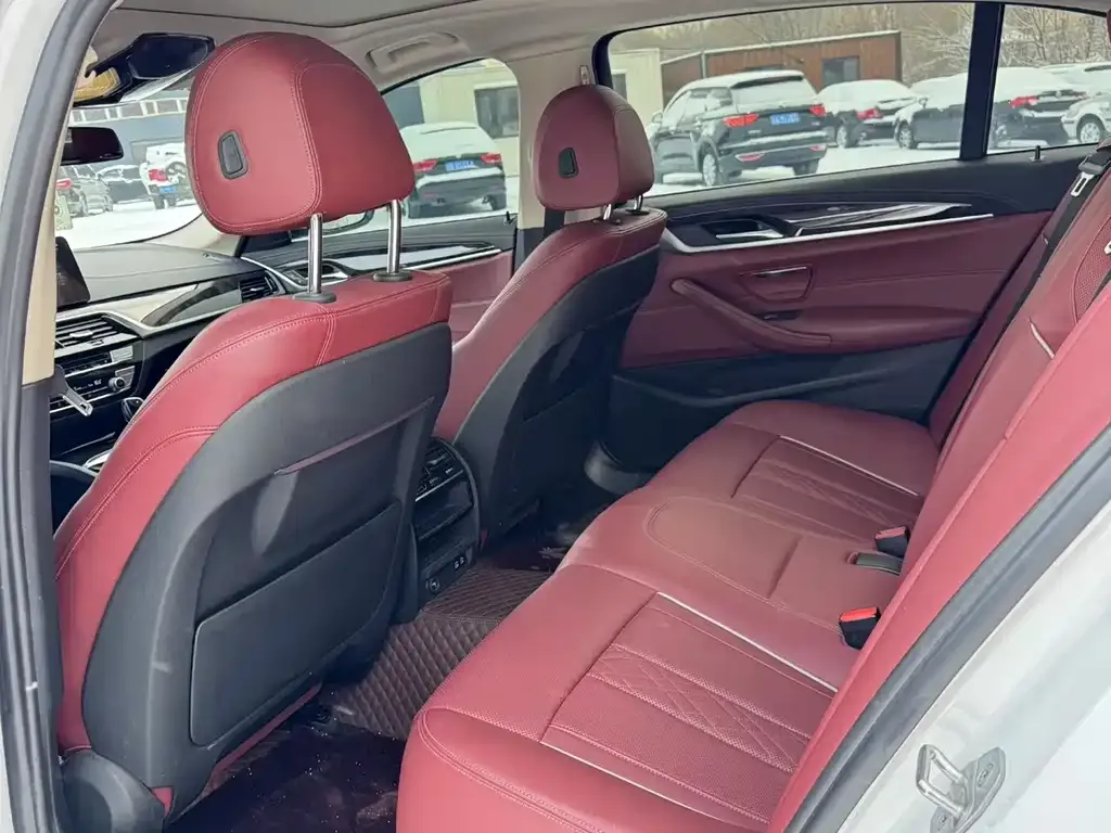 BMW 5 Series 2022 из CN, фото 8