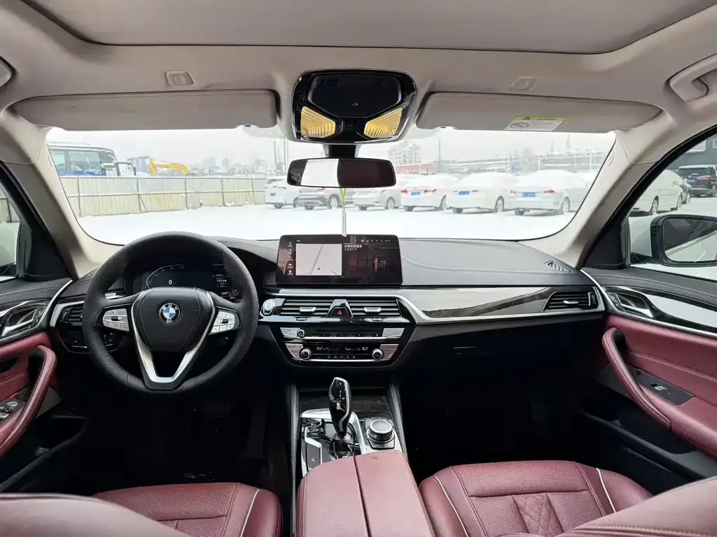 BMW 5 Series 2022 из CN, фото 10